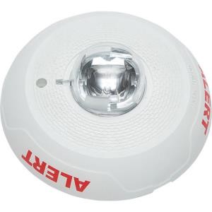 System Sensor SCWL-CLR-ALERT