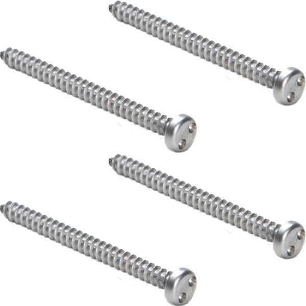 Stainless Steel Tamper Screws 2" (