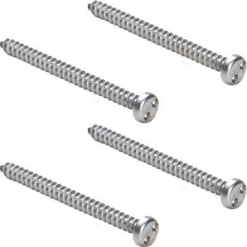 Stainless Steel Tamper Screws 1.5"